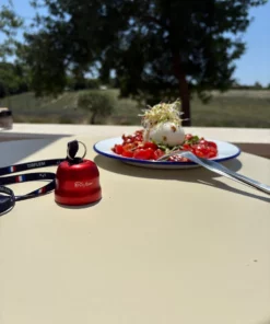 Tirflem 2-in-1 Magnetische ballenraper ook voor cochonnets - Afbeelding 2